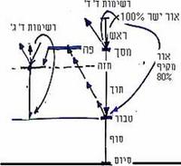 איור ג'