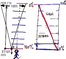 איור ד'