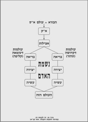 מתוך אלבום שרטוטים 5